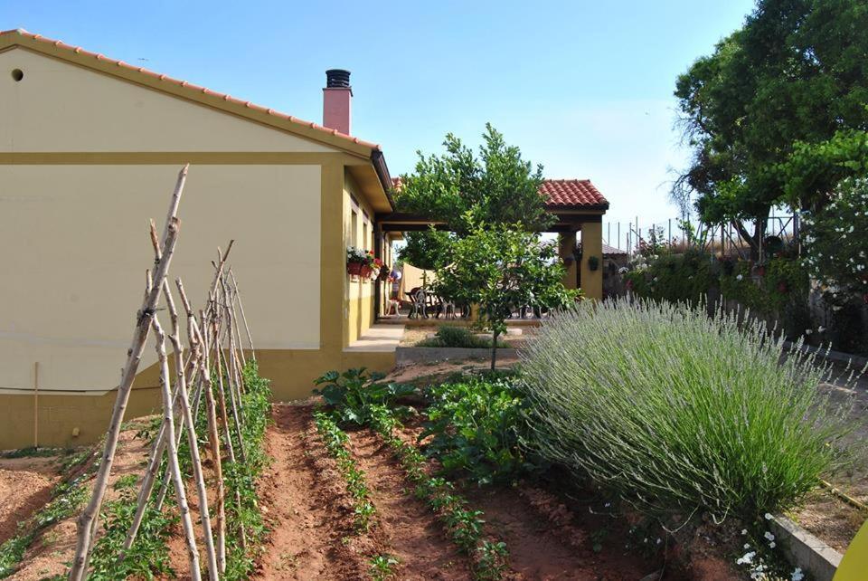Apartamentos La Bodega Del Abuelo Bujalaro 외부 사진